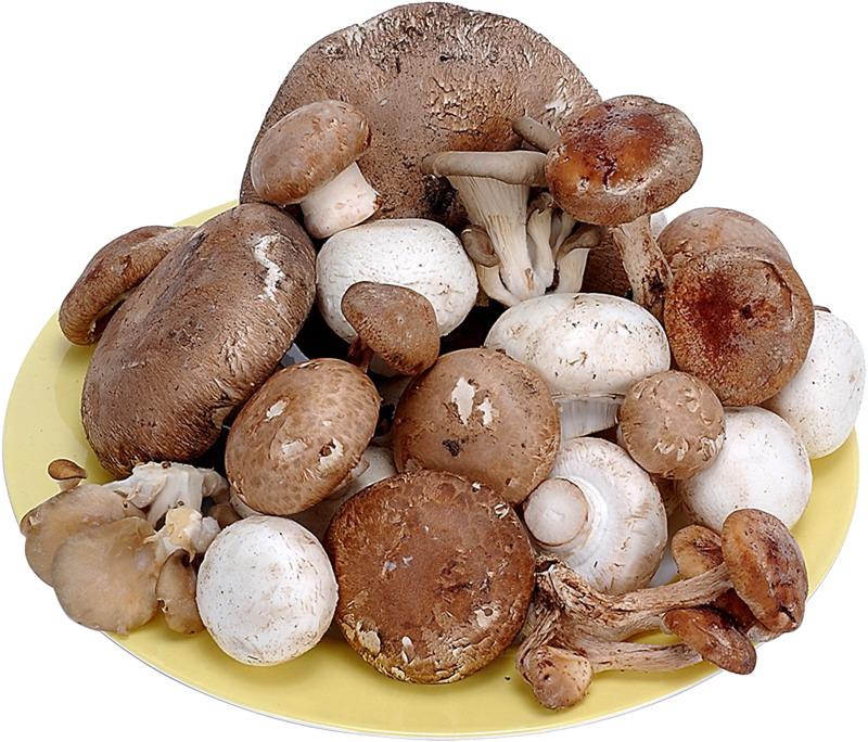 продукты для похудения грибы