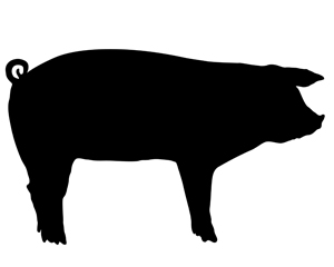 мясо при похудении свинина
