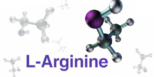 аргинин аминокислоты при тренировках