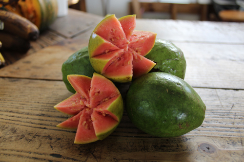 экзотические фрукты для похудения гуава