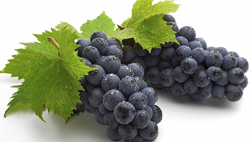 можно ли есть виноград на диете