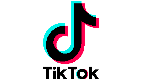 TikTok запускает кампанию в поддержку женщин