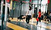 день рождения Reebok CrossFit EKB пост релиз фото